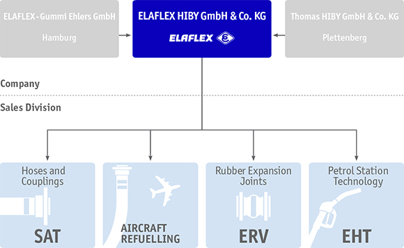 Organization structure