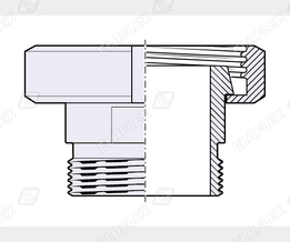 RS50 SS Schnitt RS50 SS Schnitt